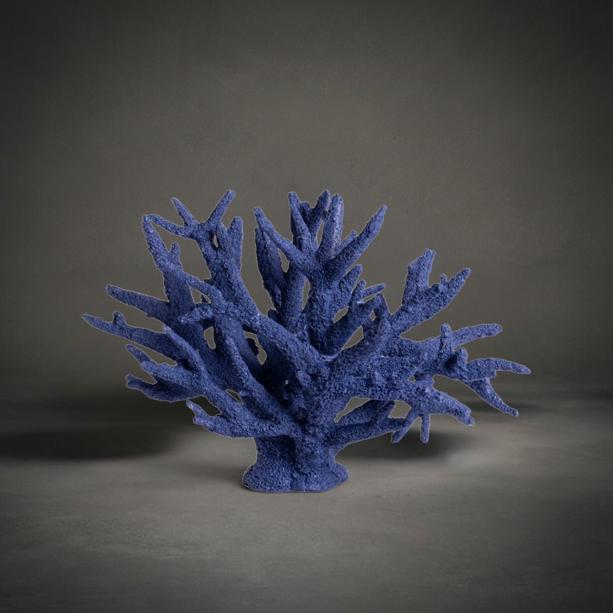 Coral Branch — tall branch-like coral sculpture, HMT Home