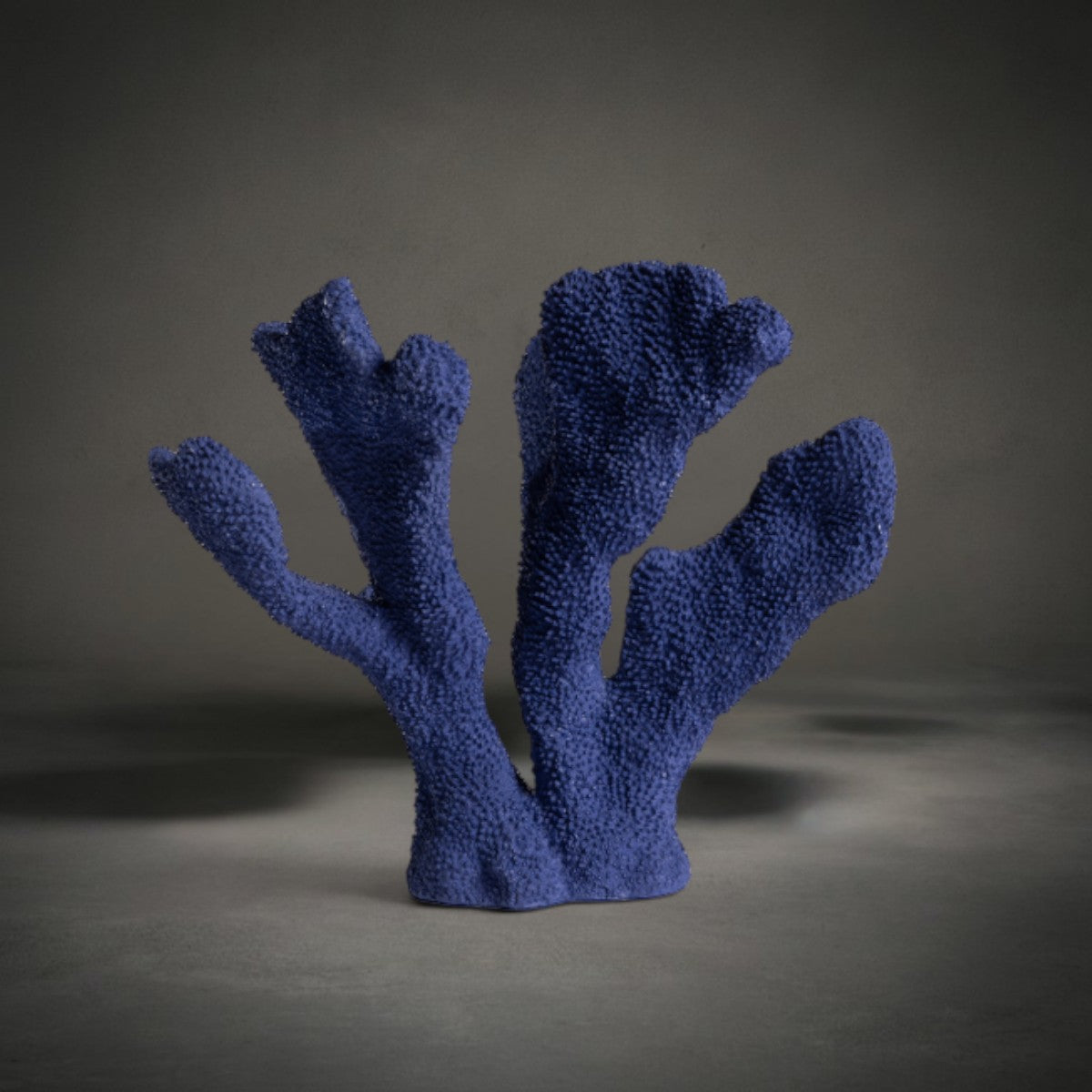 Coral Ear — coral-inspired decorative sculpture, HMT Home