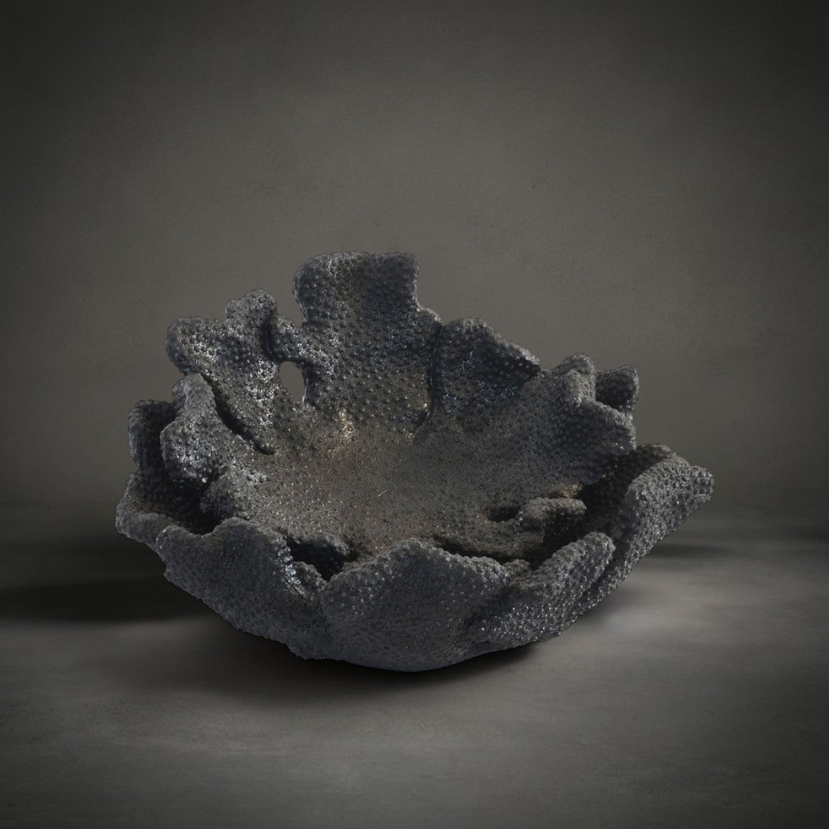 Coral Plate Set Black — two nesting charcoal-black faux coral pieces with a textured scalloped edge, HMT Home