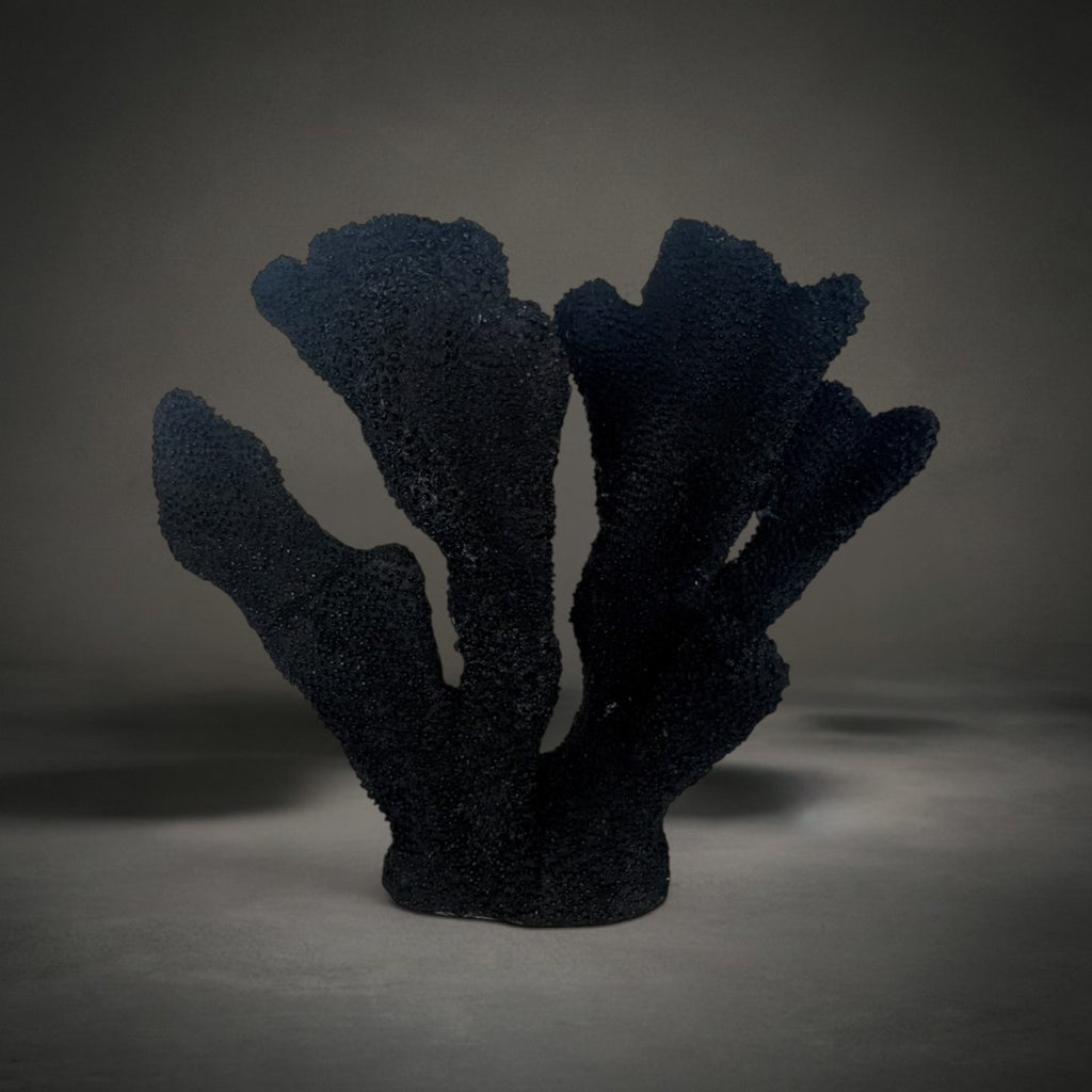 Coral Ear Black — sculptural matte black coral with textured branching fans, HMT Home