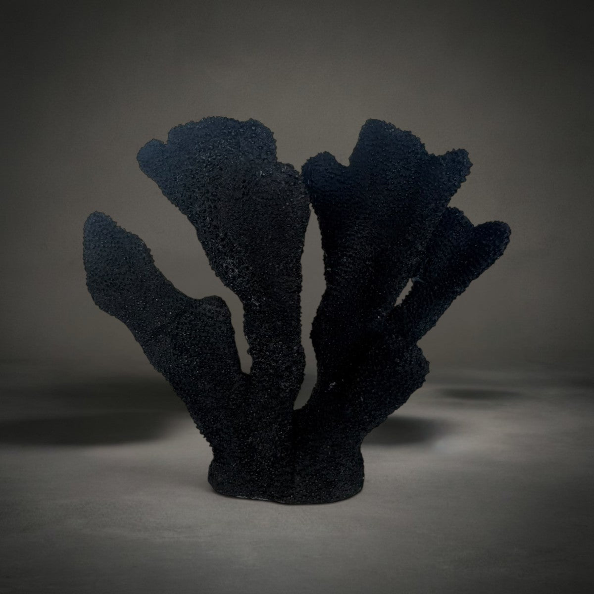 Coral Ear Black — sculptural matte black coral with textured branching fans, HMT Home