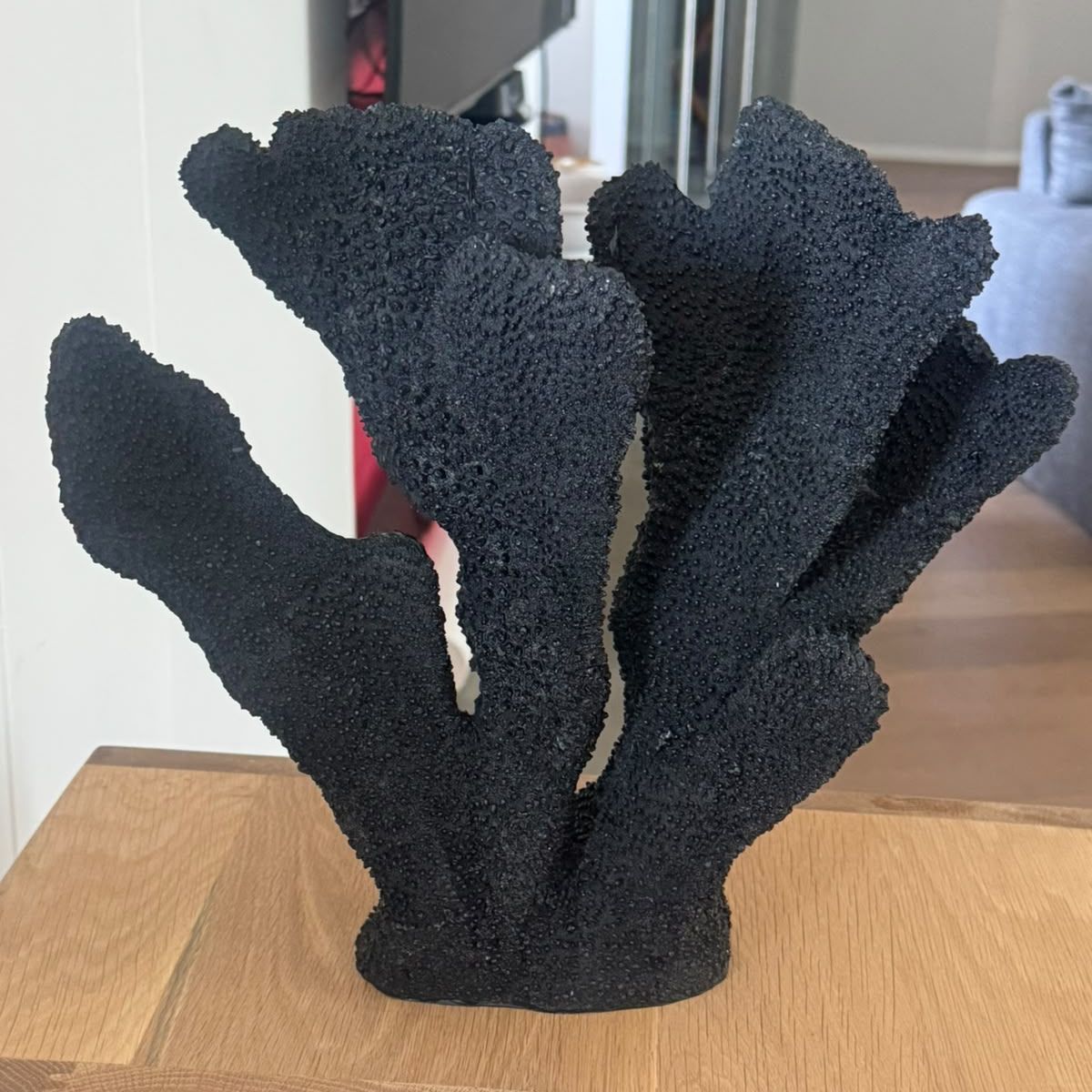 Coral Ear Black styled on a wooden side table in a living room — sculptural matte black coral with textured branching fans, HMT Home